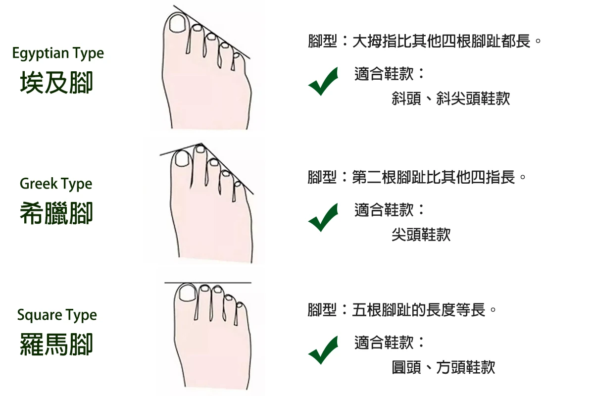 各類腳型