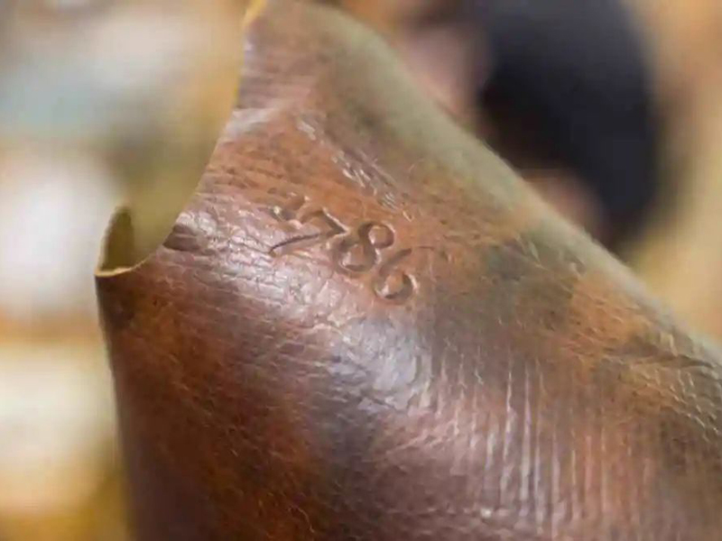 沈船皮上的年份